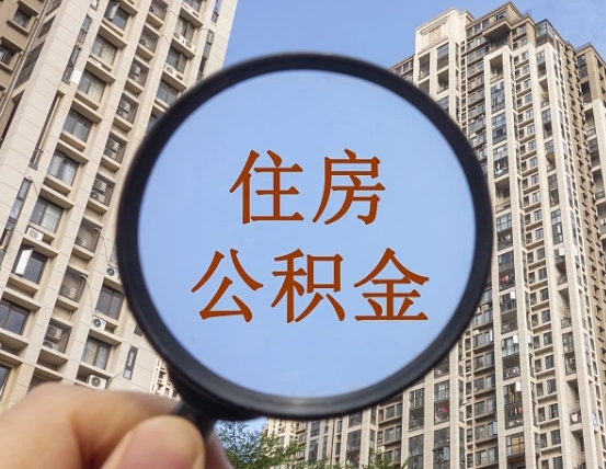 灵宝退休后查不到公积金明细了吗（退休后公积金查询不到原因）